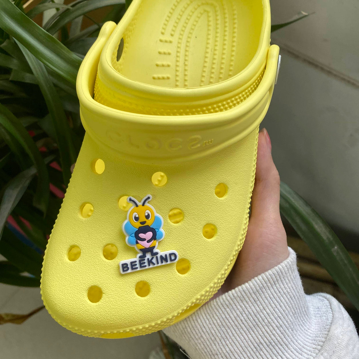 BeeKind Croc Charms Set (2 charms )