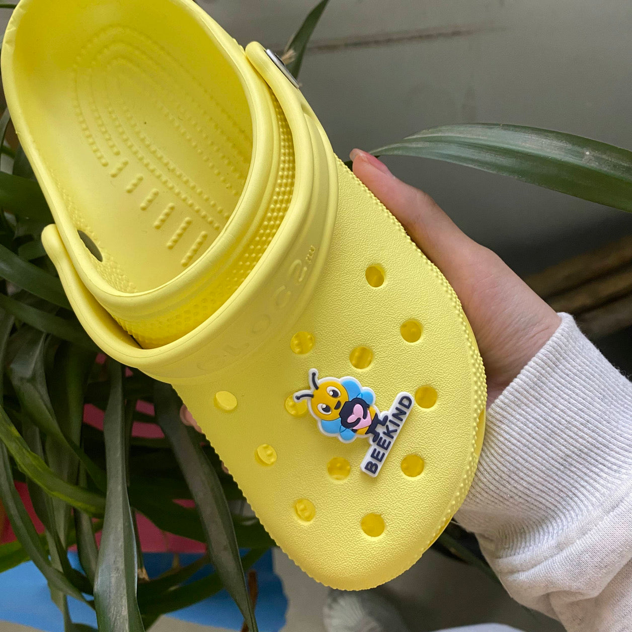 BeeKind Croc Charms Set (2 charms )